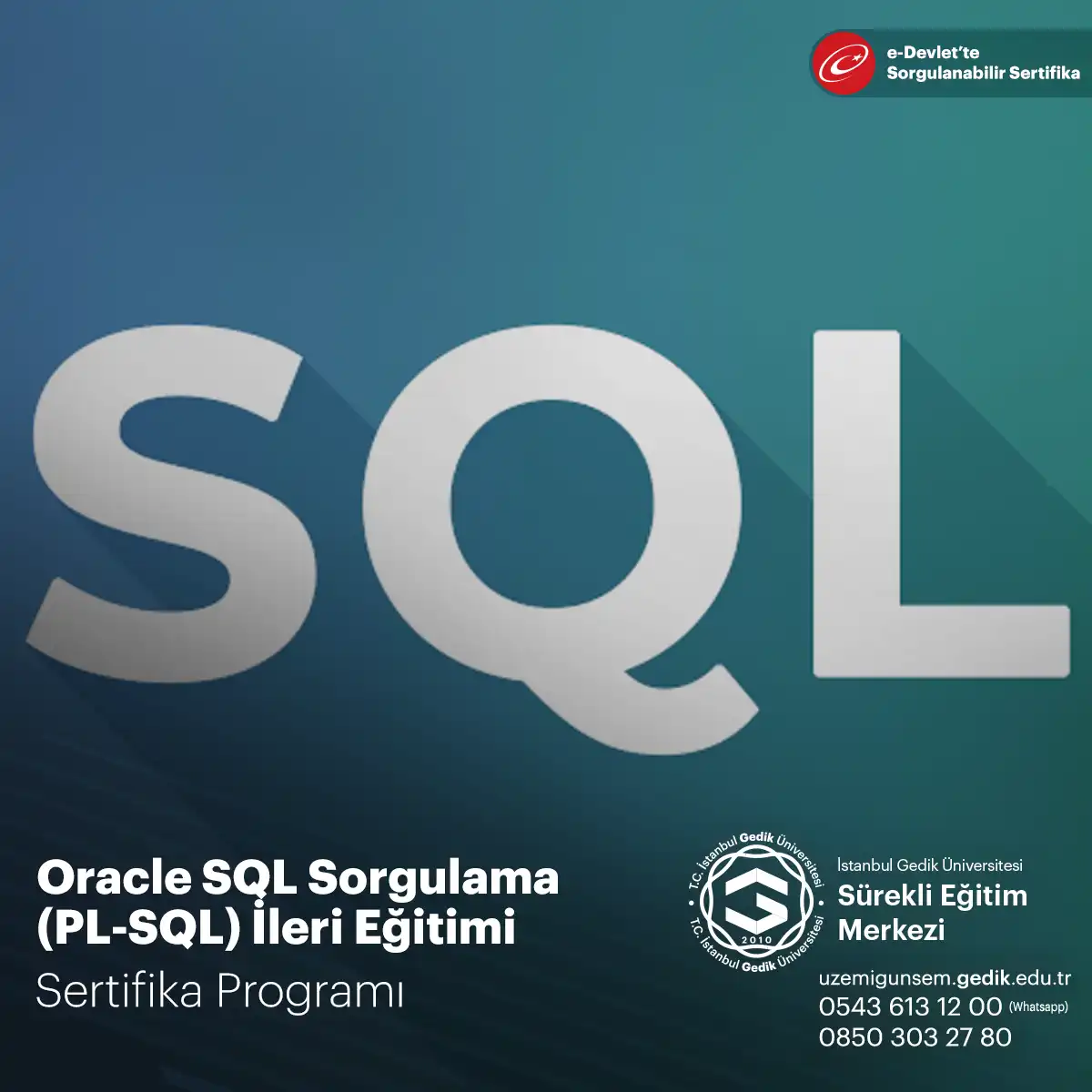 Oracle SQL Sorgulama (PL-SQL) İleri Eğitimi Sertifika Programı